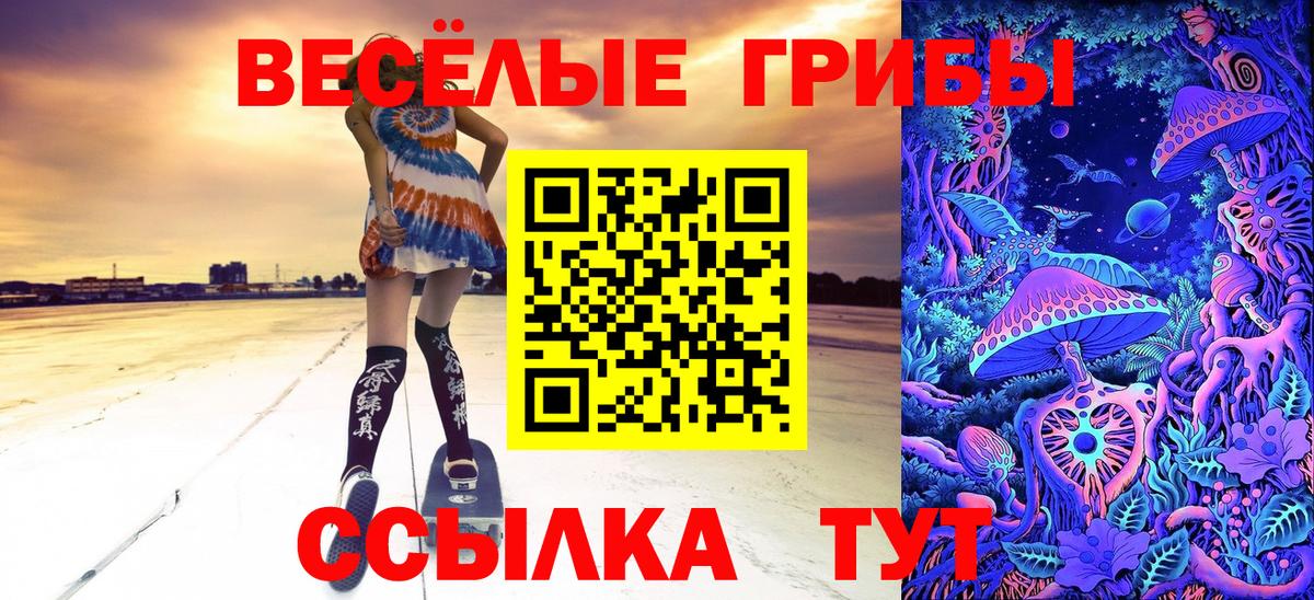 Лениногорск  Галлюциногенные грибы Psilocybine cubensis  Вход с VPN 